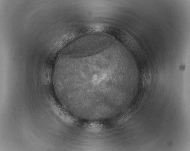 X0000115330546200911161811