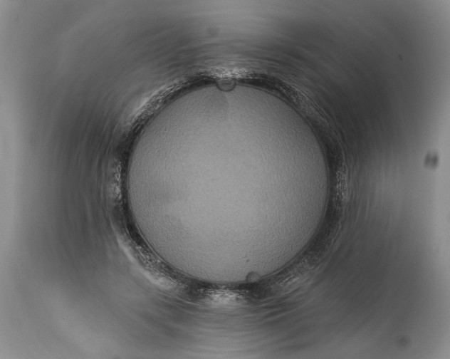 X0000115330547200911161811