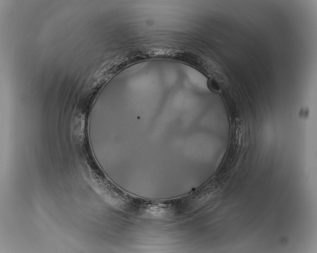 X0000115330550200911161811