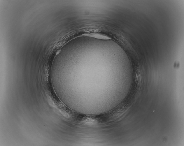 X0000115330551200911161811