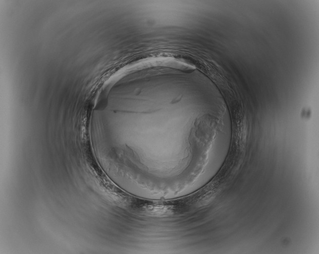 X0000115330553200911161811