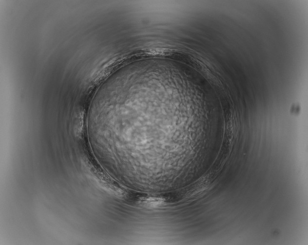 X0000115330554200911161811
