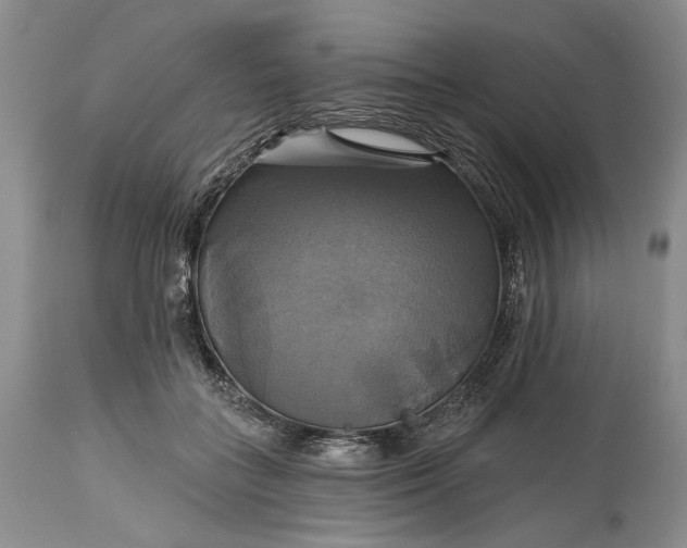 X0000115330555200911161811