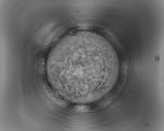 X0000115330557200911161811