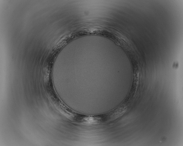 X0000115330558200911161811