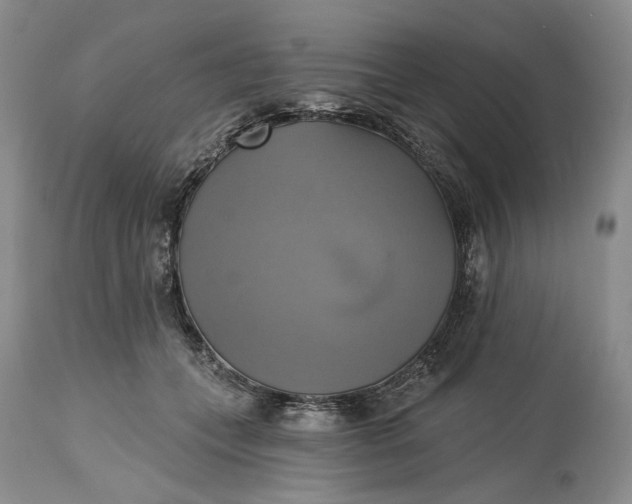 X0000115330559200911161811