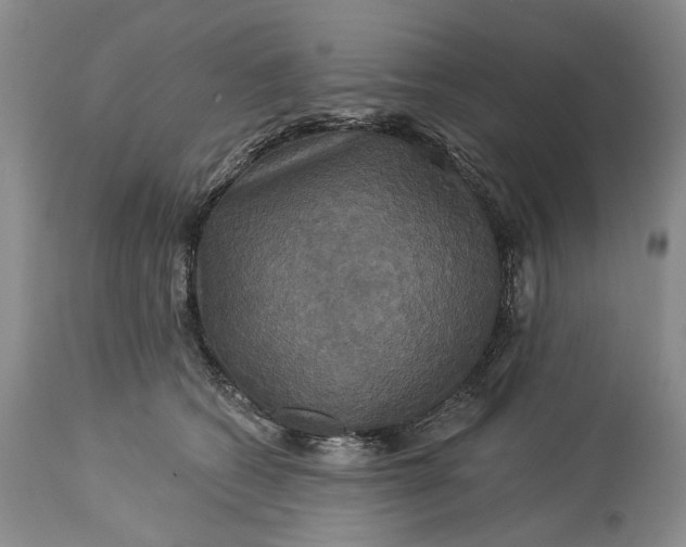 X0000115330562200911161811