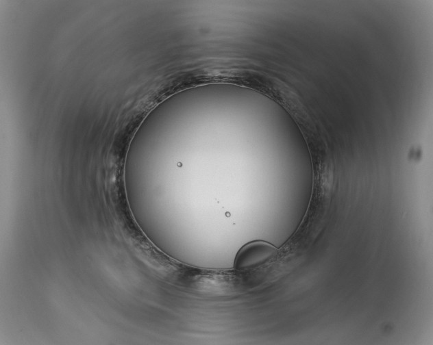 X0000115330567200911161812