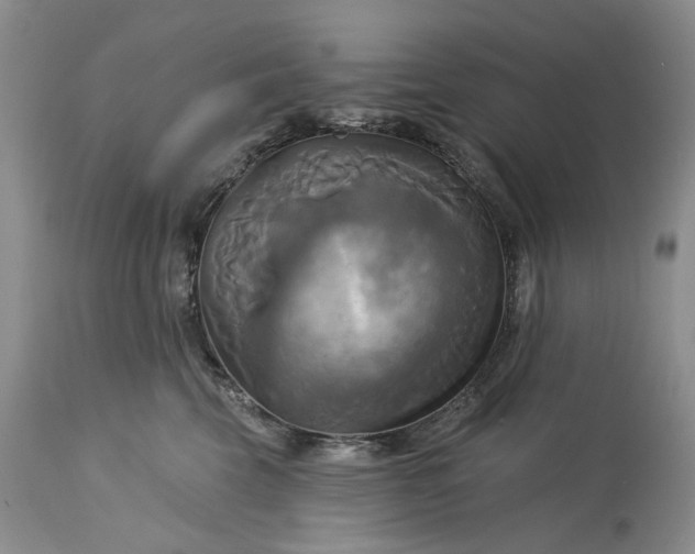 X0000115330569200911161812