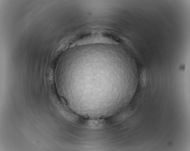 X0000115330571200911161812