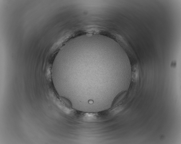 X0000115330573200911161812