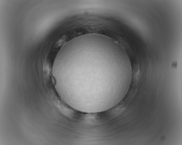 X0000115330574200911161812