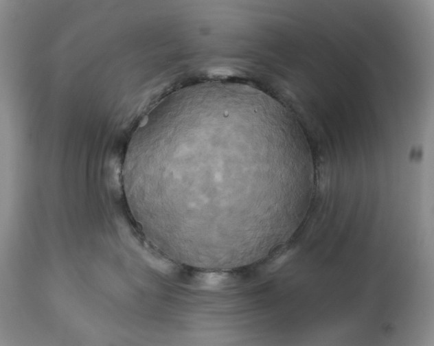 X0000115330575200911161812