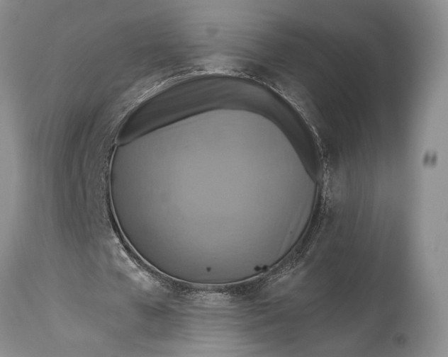 X0000115330577200911161811