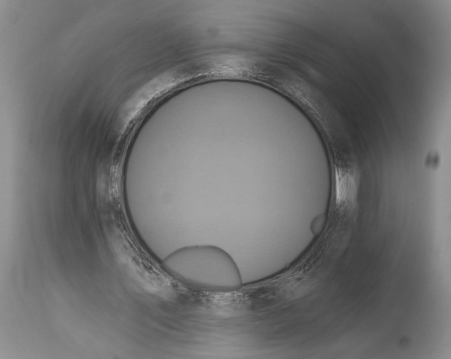 X0000115330579200911161811