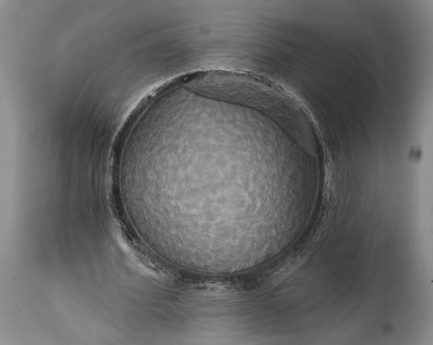 X0000115330580200911161811