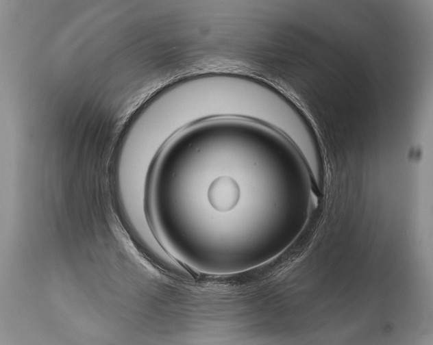 X0000115330581200911161811