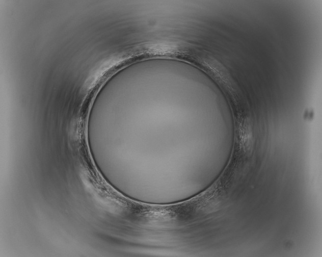 X0000115330583200911161811