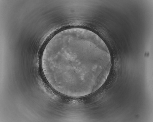 X0000115330584200911161811