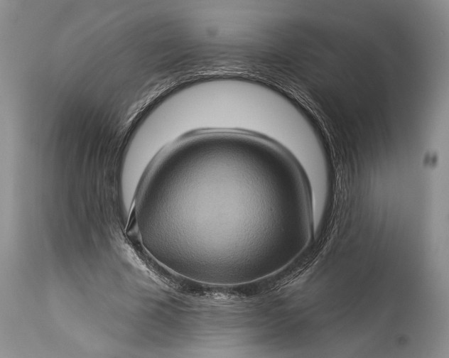 X0000115330585200911161811