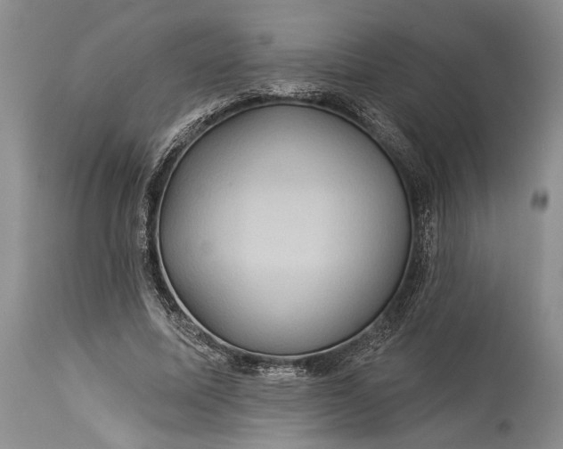 X0000115330587200911161811