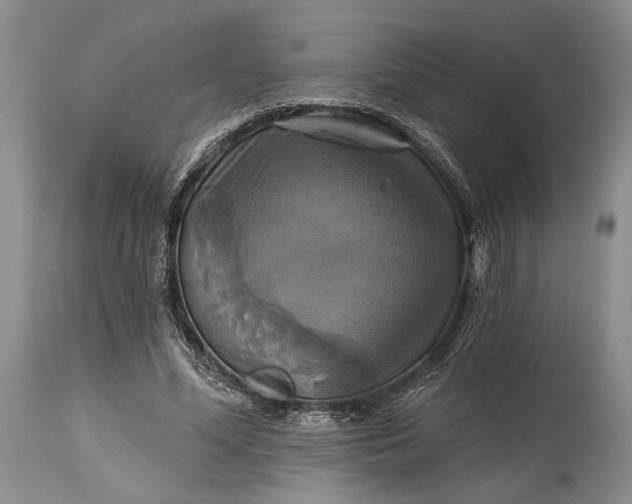 X0000115330588200911161811