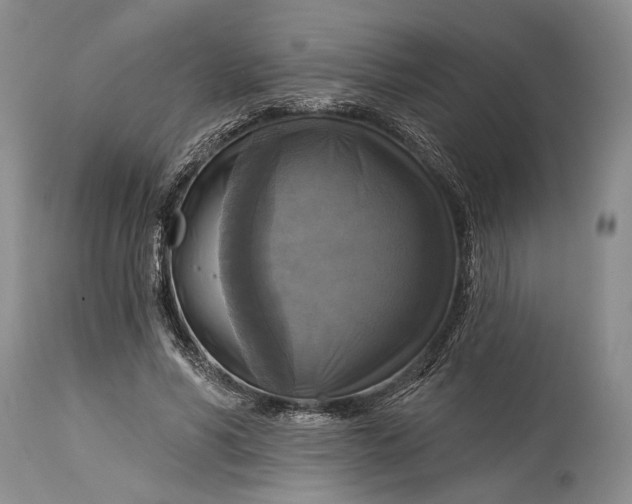 X0000115330590200911161811