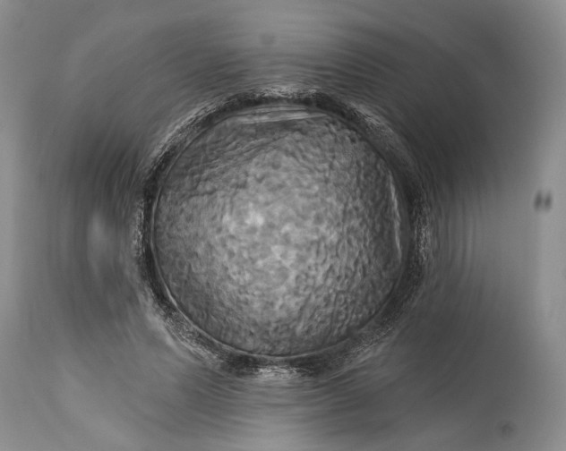 X0000115330591200911161811