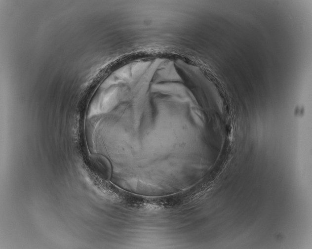 X0000115330592200911161811