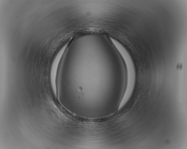 X0000115330593200911161811