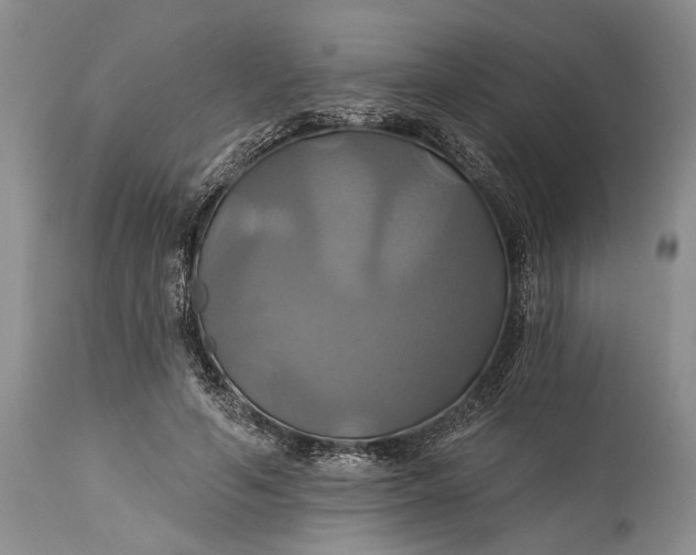 X0000115330594200911161811