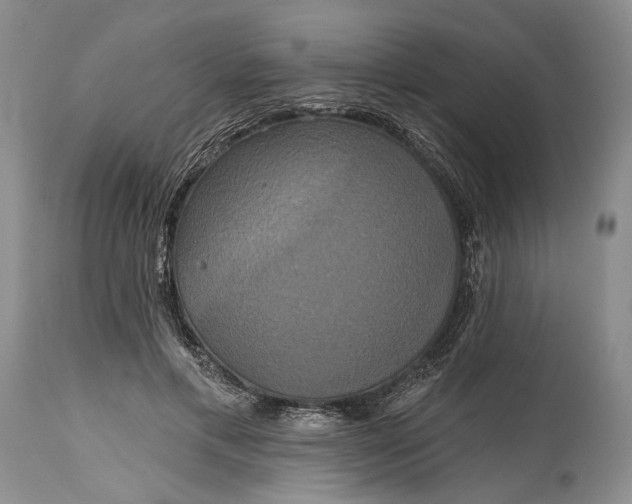 X0000115330597200911161810