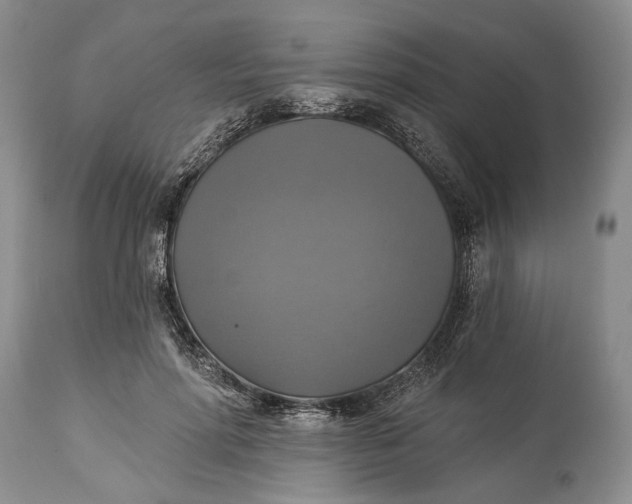 X0000115330598200911161810