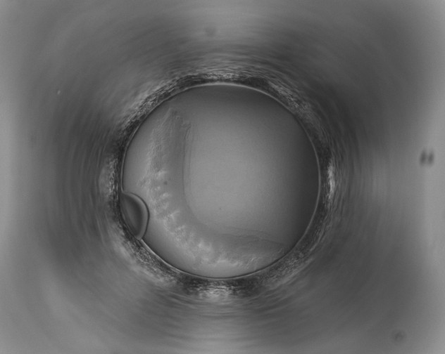 X0000115330600200911161810
