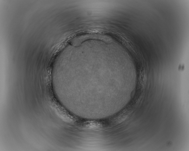 X0000115330601200911161810