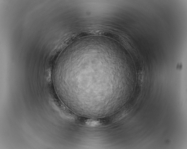 X0000115330602200911161810