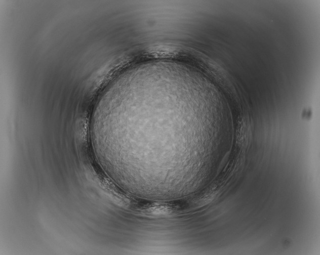 X0000115330604200911161810