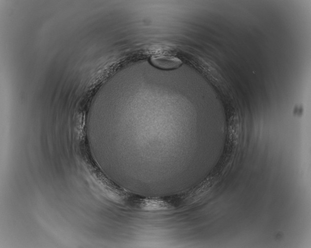 X0000115330605200911161810