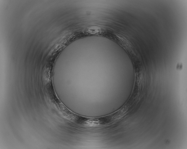 X0000115330606200911161810