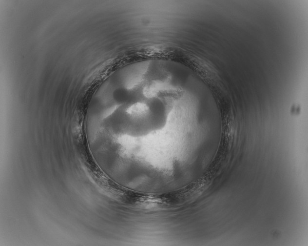 X0000115330607200911161810