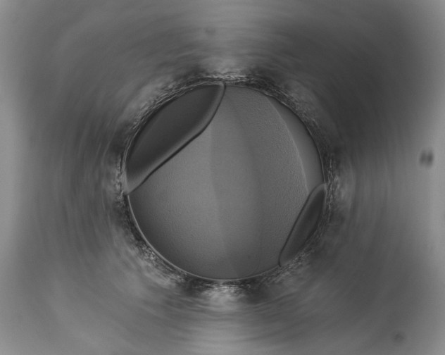 X0000115330609200911161810