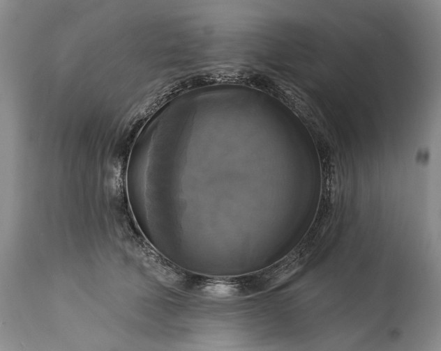 X0000115330610200911161810