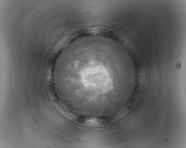 X0000115330611200911161810