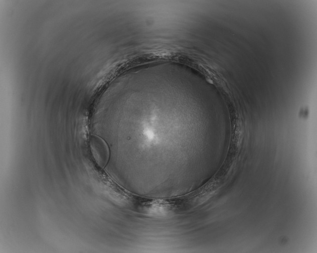 X0000115330612200911161810