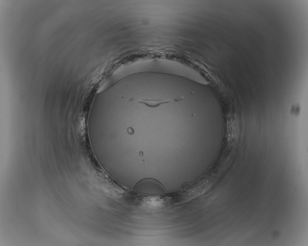 X0000115330613200911161810