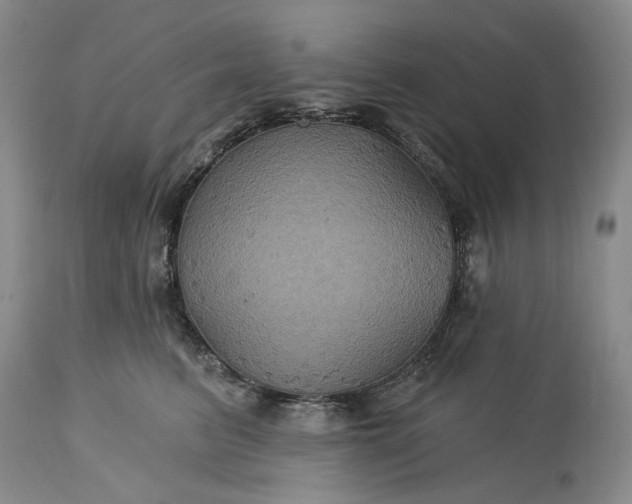 X0000115330615200911161810