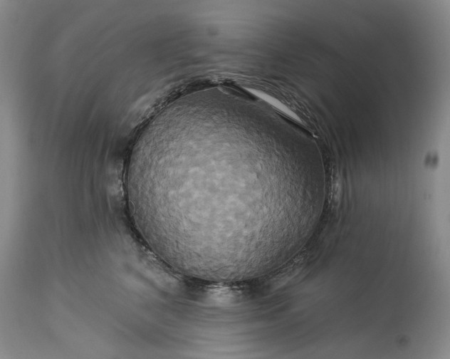 X0000115330616200911161810