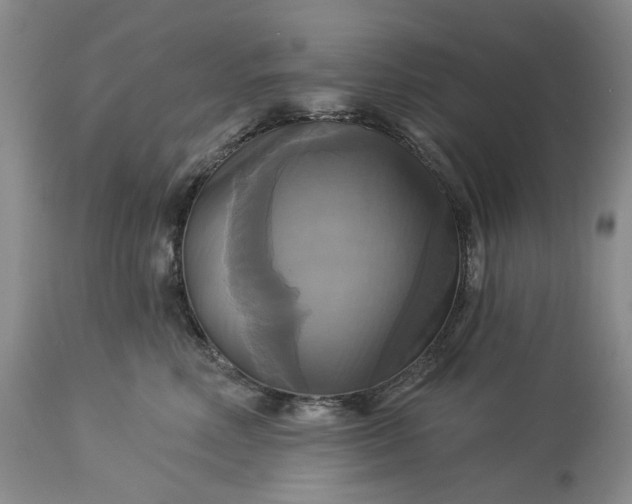 X0000115330618200911161810
