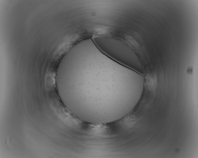 X0000115330621200911161810