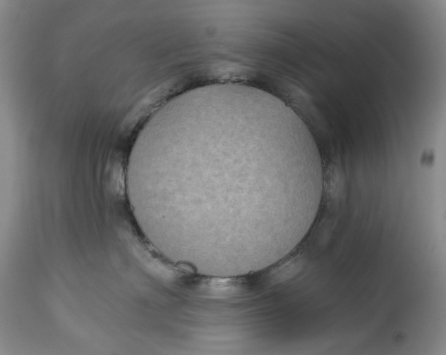 X0000115330622200911161810